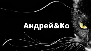 Статистика Дзен АндрейКо vlog