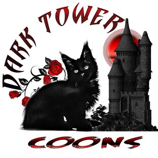 Статистика Дзен Питомник Мейн кун Dark Tower Coons