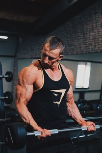 Дзен wolf статистика