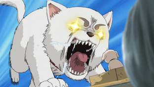 Дзен Ani-chan статистика