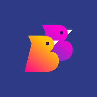 Статистика Дзен BirdsBuild