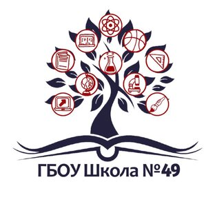 Статистика Дзен Школа 49 город Москва