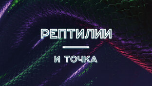 Статистика Дзен Рептилии — и точка