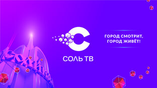 Статистика Дзен "СольТВ" - основной городской телеканал