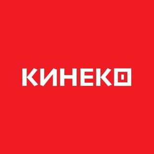 Дзен Кинеко статистика