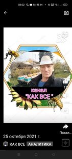 Статистика Дзен КАК ВСЕ.