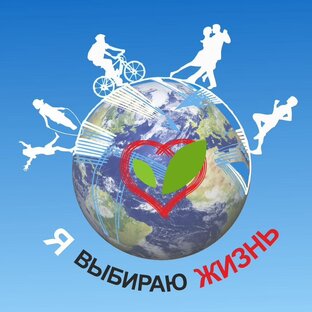 Статистика Дзен Я выбираю жизнь