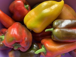 Огород и кухня