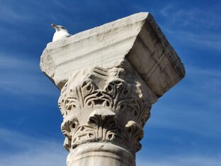 Публицистика всякая