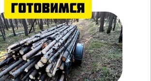 Заготовка дров и не только. 