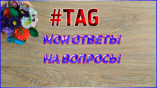 ОТВЕТЫ НА ВОПРОСЫ ТЭГи