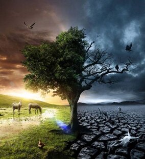 Житейская мудрость.