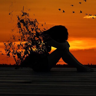 Всё о чувствах