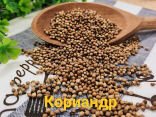 Интересно: специи и приправы