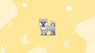 дрессируем Вольта 🐺👩🏻‍🎓