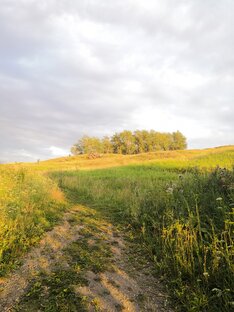 Мои взгляды на жизнь