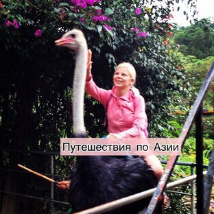 Азия 
