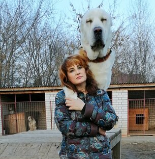 Полезный блог