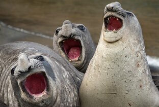 Deutsche Witze für jeden Tag