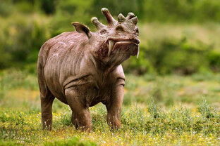 Доисторические животные