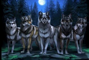 Мистическая история с элементами фантастики:))