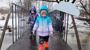 Бобры