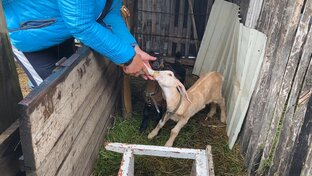 Сельское хозяйство