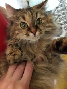 Наш зоопарк