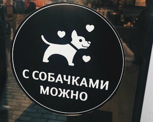 Dog Friendly