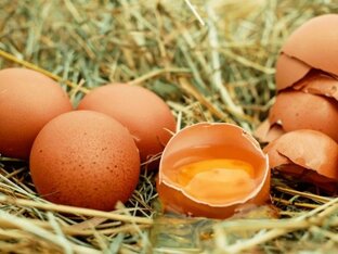 От коронавируса