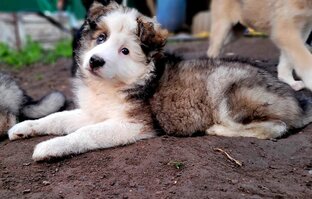 Нашли дом❤️