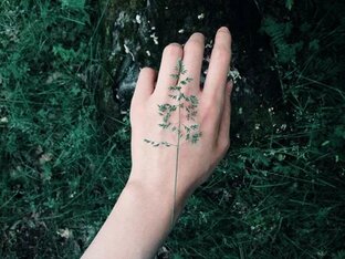 Рассказы и книга