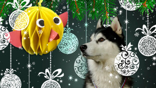 мастерская хаски Вольта 🎉🥳