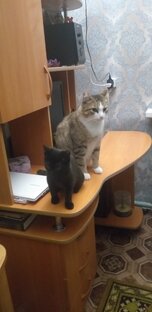 Тима и Луна!