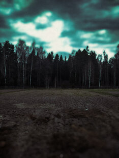 Многое другое