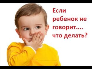 Неговорящий ребёнок. Алалия. 