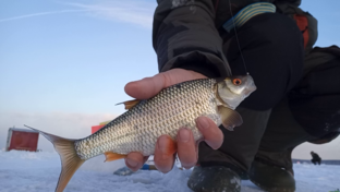 Рыбалка. Белоярское водохранилище.