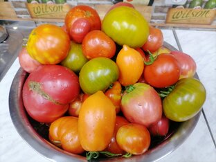 Дела огородные. 