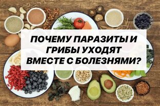 ОЧИЩЕНИЕ ОРГАНИЗМА 