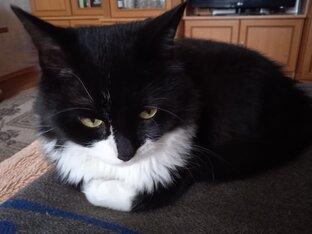 По настроению и для настроения!