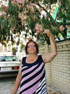 Сад, огород 