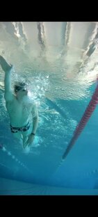 Сальто кролем