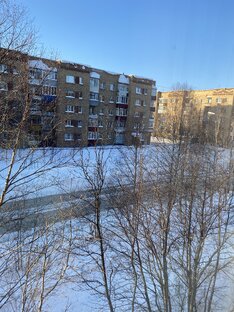 А правда что вы живете в чумах и у вас по городу ходят белые медведи?🤔