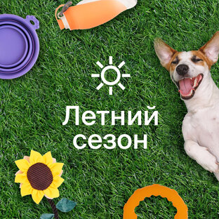 Летний сезон