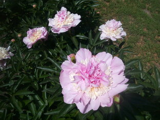 Каналы по рекомендации