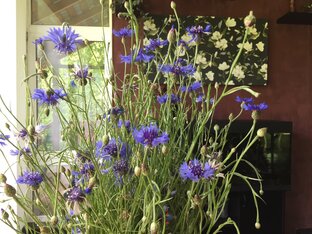 Разно обширная страничка