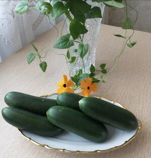 Огурцы, кабачки, тыквы, арбузы