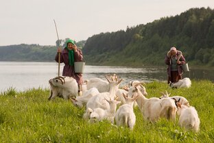 Творчество