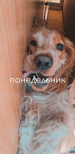 Не скучные будни 😎