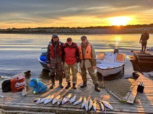 Турбаза Золотая Дельта